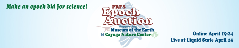 Epoch Auction banner image