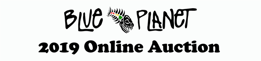 2019 End of Year Auction banner image