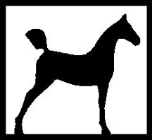 2020 Stallion Service Auction banner image
