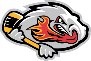 Drumheller Falcons Heritage Jersey Auction banner image