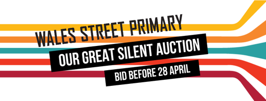 Wales Street Primary Fete 2020 banner image