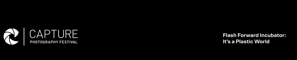 Flash Forward Incubator Program Online Auction banner image