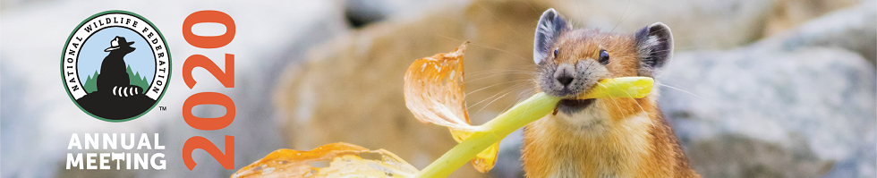 One Future. Indivisible. banner image