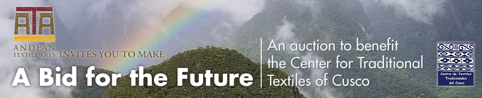 A Bid for the Future: An Auction to Benefit CTTC banner image