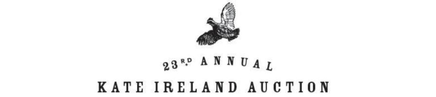 23rd Annual Kate Ireland Memorial Auction banner image