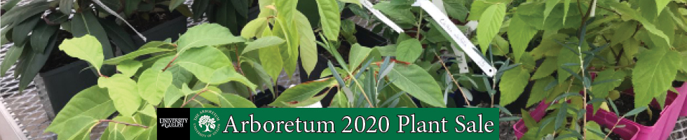 Arboretum, University of Guelph 2020 Plant Sale banner image