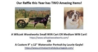 2020 Blue Ridge BMD Club Fundraiser banner image