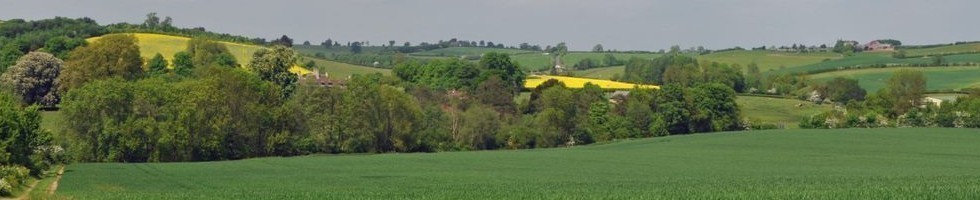 The GWCT Big Online Auction banner image