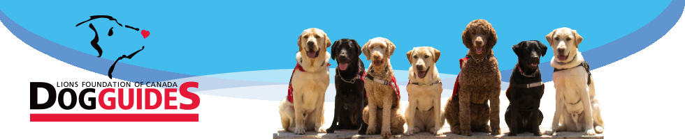 Stay at Home and Bid For Dog Guides banner image