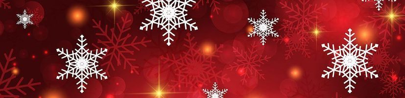 CCC 2020 Holiday Shopping Spree banner image
