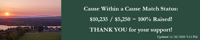 2020 Online Fall Auction and Giving Gala banner image
