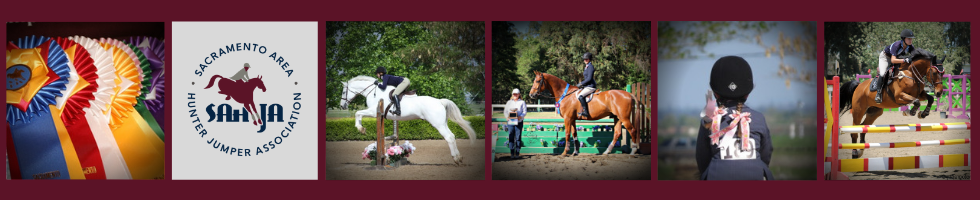 21 Days of SAHJA Celebration and Fundraiser banner image