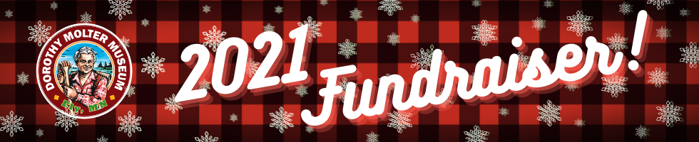 DMM 2021 Fundraising Event banner image