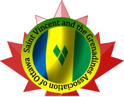 Volcano Relief Effort | SVGAO Silent Auction banner image