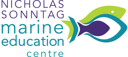 2021 Rockfish Art Festival Auction banner image