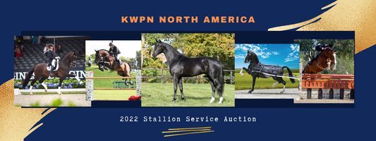 KWPN-NA 2022 Stallion Service Auction banner image