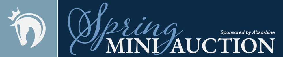 Spring Mini Auction banner image