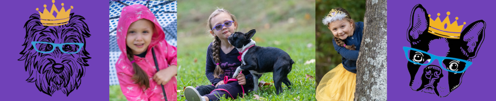 Auction for a Cure banner image