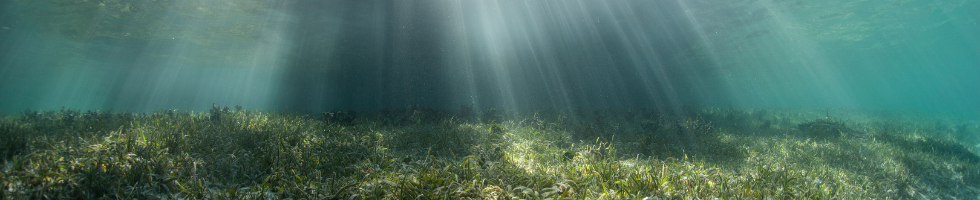 2nd Birthday Fundraiser banner image