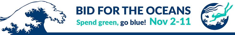 Bid for the Oceans banner image
