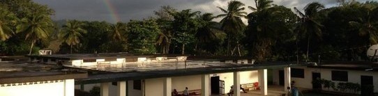 Hospital Lumiere 2021 Benefit Auction banner image