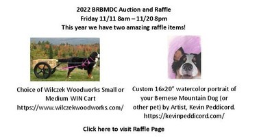 2022 Blue Ridge BMD Club Fundraiser banner image