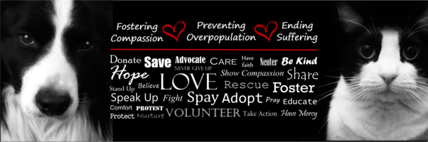 6th Annual Holiday Online Auction banner image