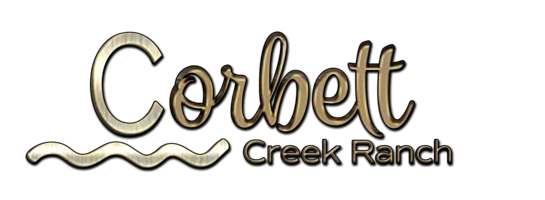 Stanglin Stallion Breeding & Donation Benefit banner image