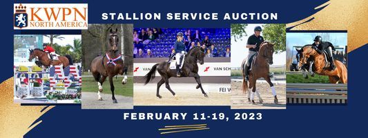 KWPN-NA 2023 Stallion Service Auction banner image