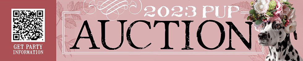 2023 Pin Up Paws Auction banner image
