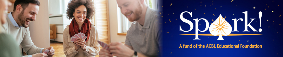 2nd Online Charity Auction for SPARK! banner image