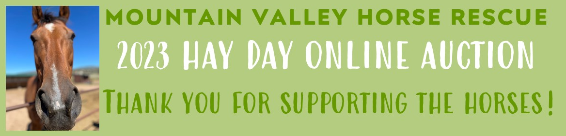 Hay Day Online Auction 2023 banner image