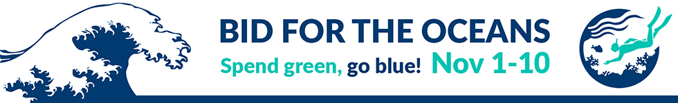Bid for the Oceans banner image