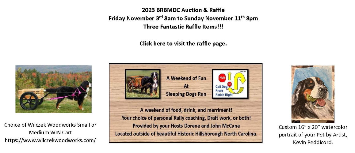 2023 Blue Ridge BMD Club Fundraiser banner image
