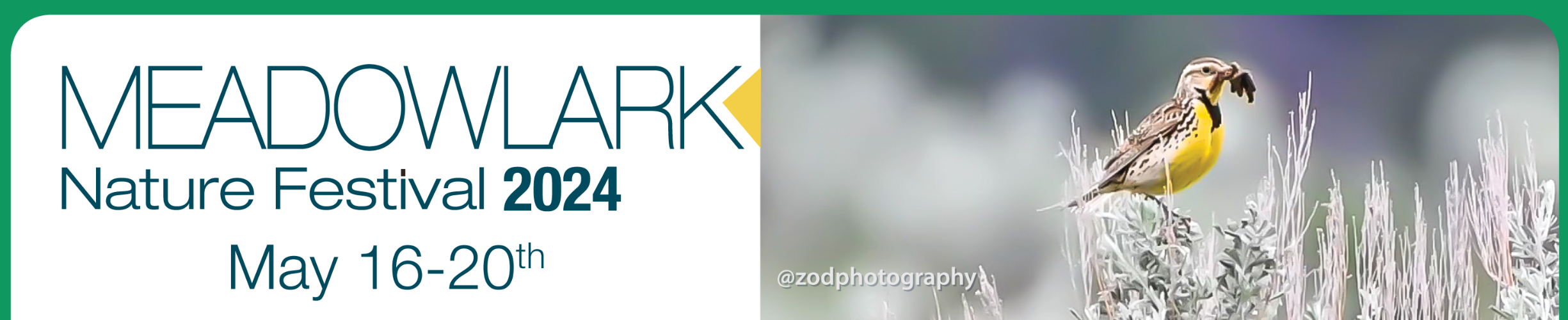 Meadowlark Nature Festival Fundraising Auction banner image