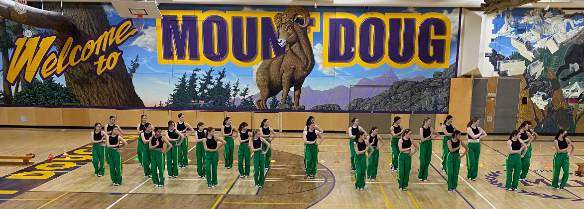 Mount Doug Dance 2024 14th Annual Auction banner image