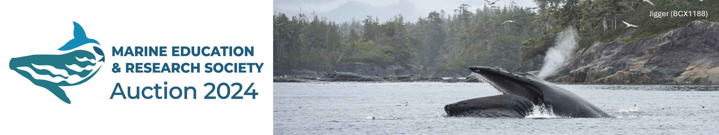 Marine Education & Research Society Auction 2024 banner image