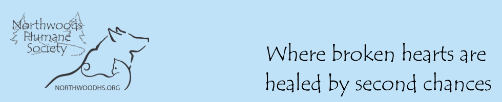 Summer Fun Online Auction banner image