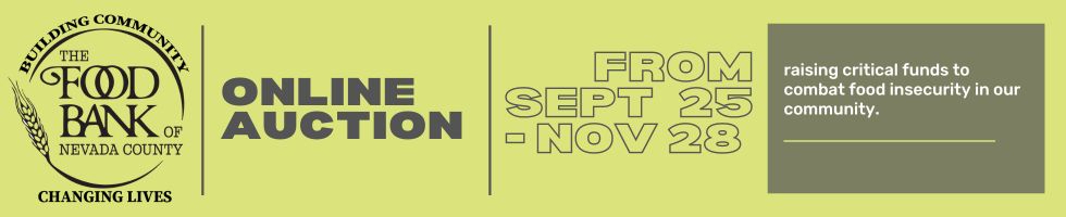 3rd Annual Online Auction 2024 banner image