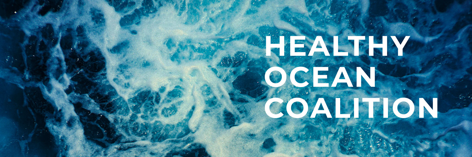 Protect the Ocean For Giving Tuesday banner image