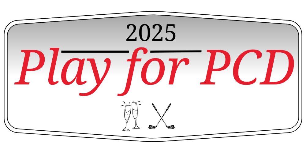 Play for PCD 2025 banner image