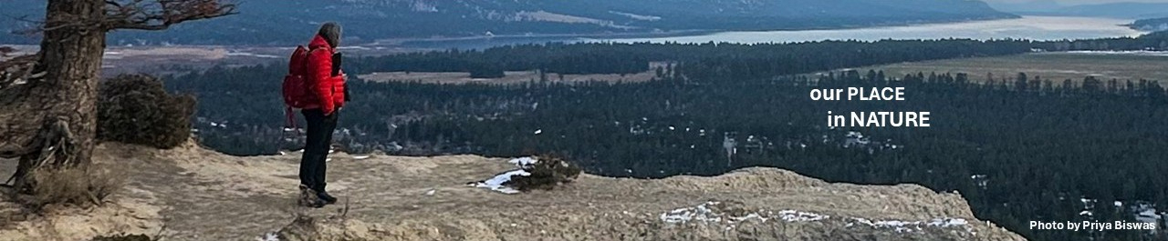 Wings Over the Rockies Auction 2025 banner image