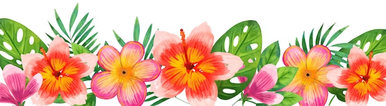 Waldorfaire Silent Auction banner image