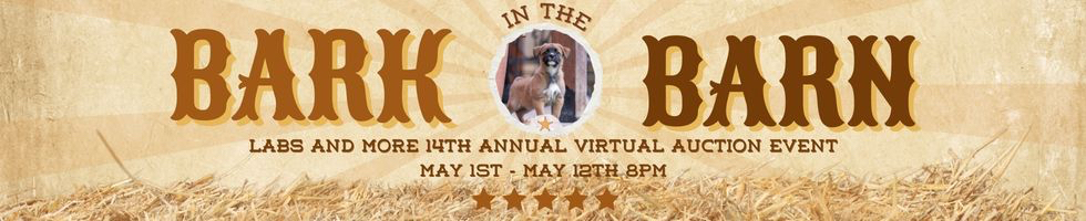 Bark in the Barn - Giving Dogs a Reason to BARK! banner image