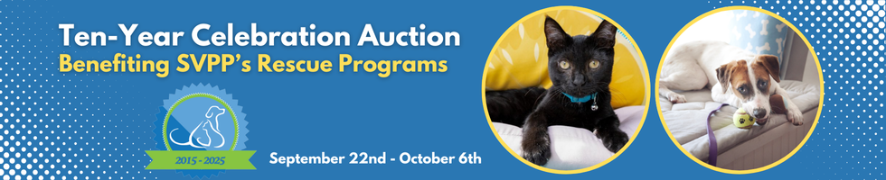SVPP's Ten-Year Celebration Auction banner image