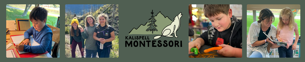 Kalispell Montessori Spring Auction 2025 banner image