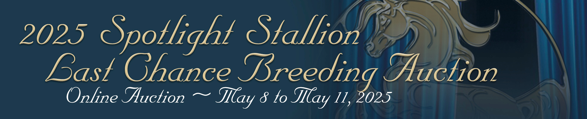 2025 Spotlight Last Chance Breeding Auction banner image