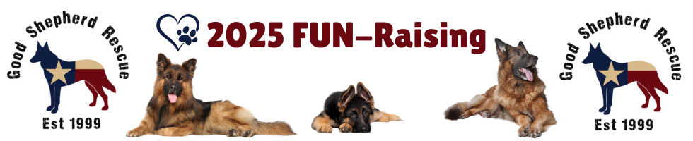 2025 Fun-Raising banner image