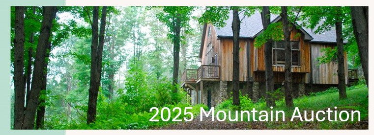 2025 Mountain Auction banner image