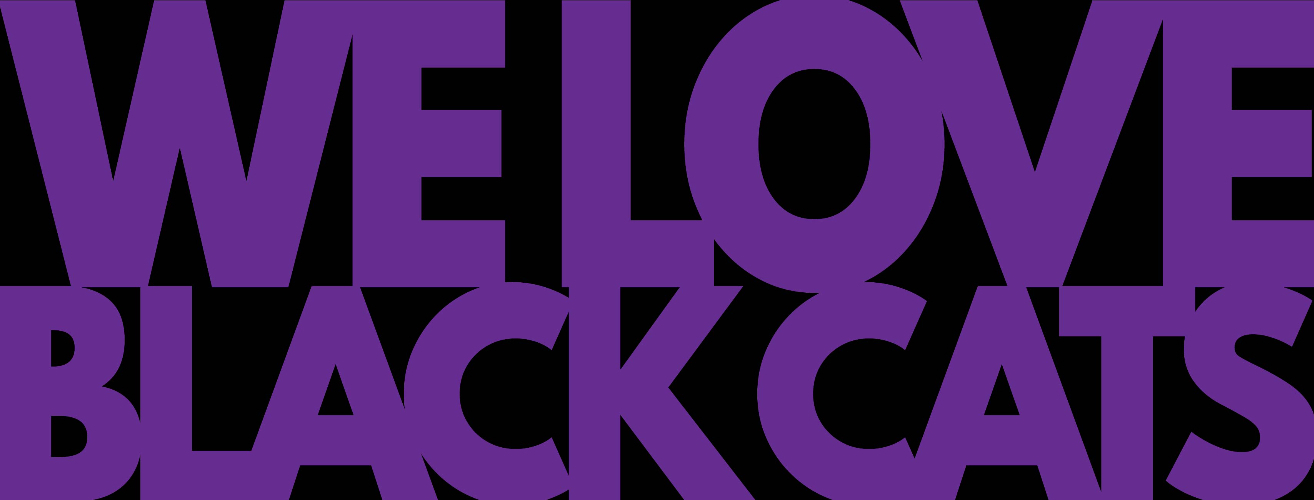 Black Cat Bash 2025 banner image